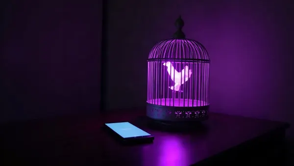 Jaula de pájaros abierta de la que sale una luz violeta, junto a un smartphone (ilustración del artículo)